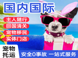 塔什库尔干红其拉甫航空物流国际宠物托运 【国