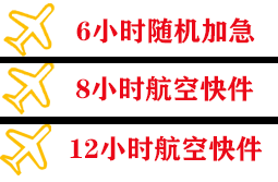 塔什库尔干红其拉甫航空物流快递公司,专业空运当天件